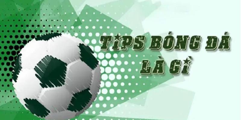 Tìm hiểu về tips bóng đá trong cá cược